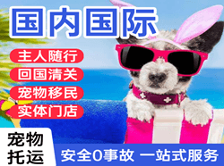 松原航空运输国际宠物托运 【国